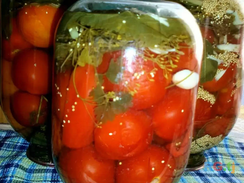Домашние огурцы и помидоры