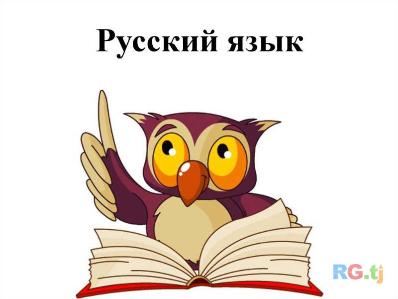 Частные уроки русского языка на дому