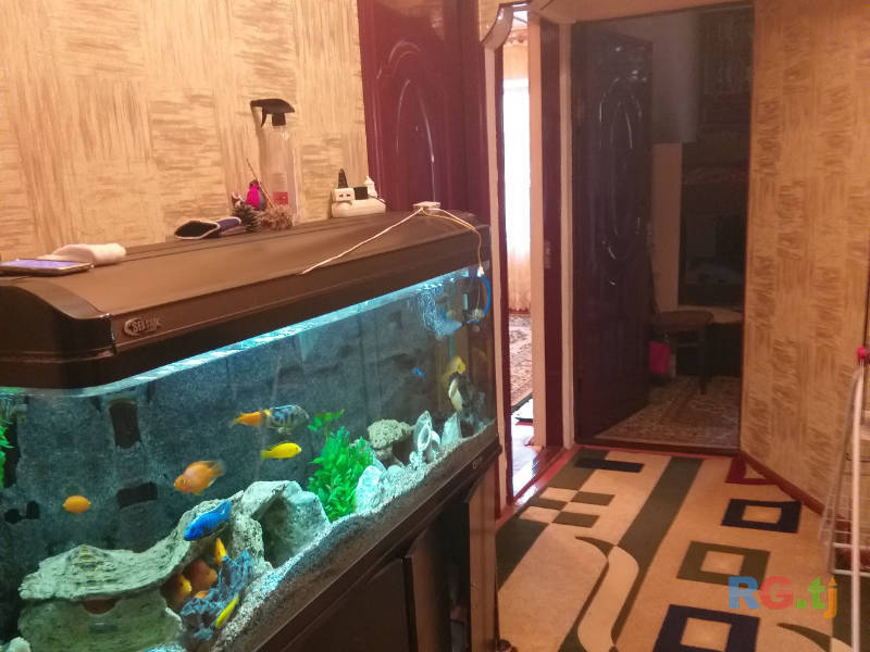 4-комн. квартира, 68 м² 1 этаж на продажу