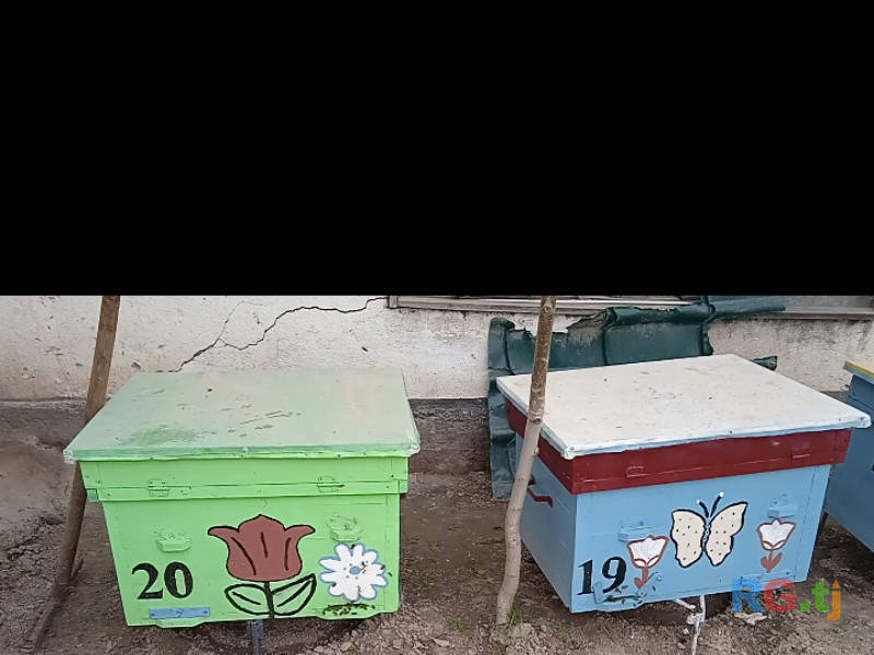 Коробки для пчел продажа