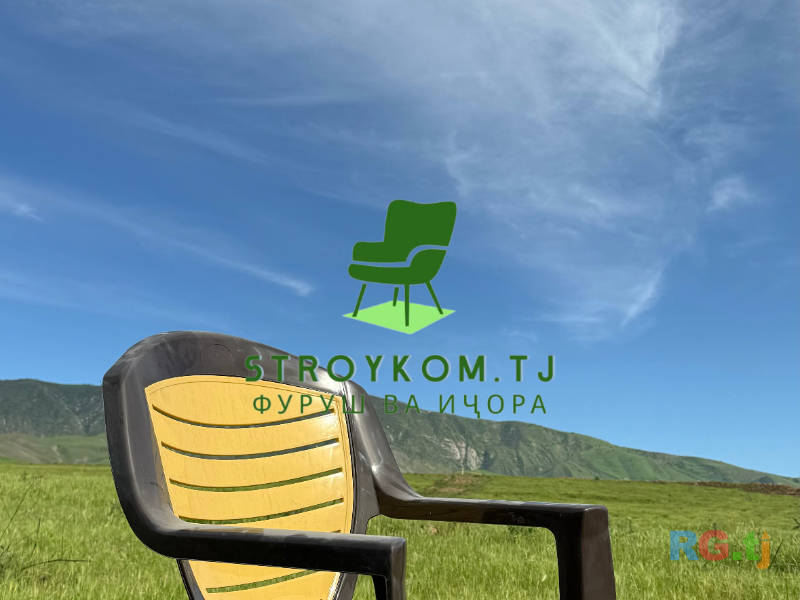 Курсии пластики