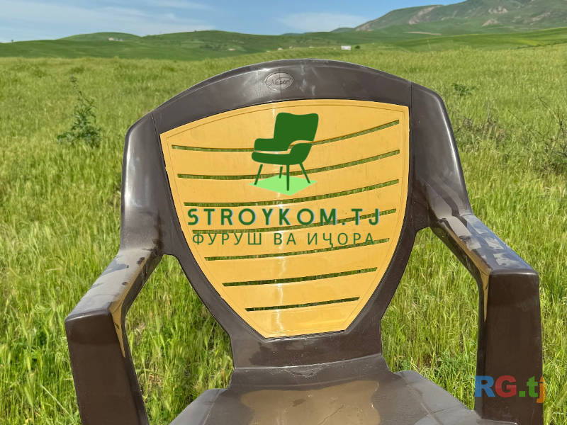 Курсии пластики