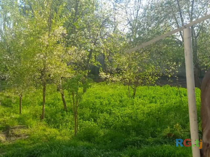 Дом 10-комн. 15 сот. на продажу