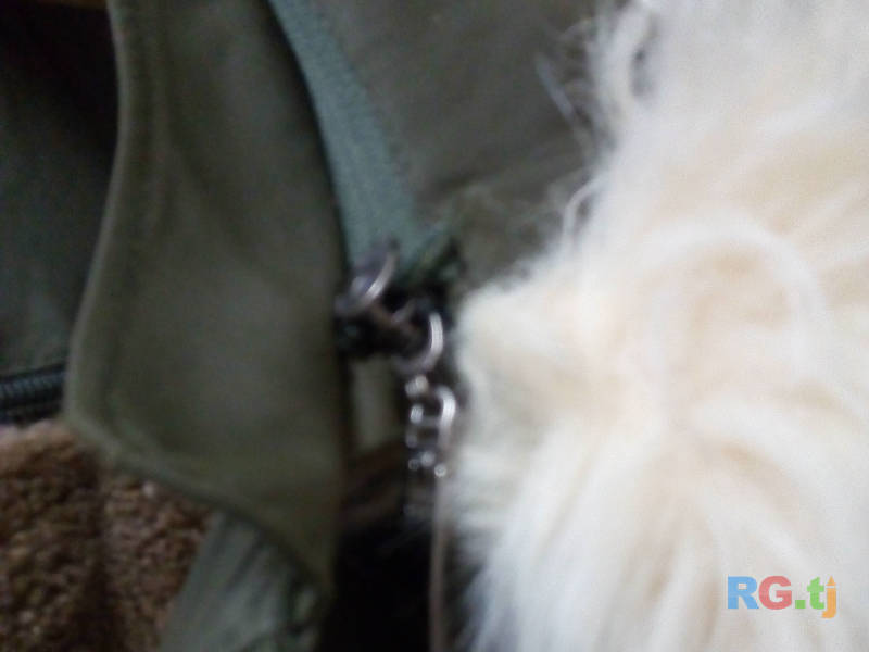 Плащ-пальто