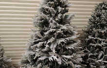 Ёлка Снежок