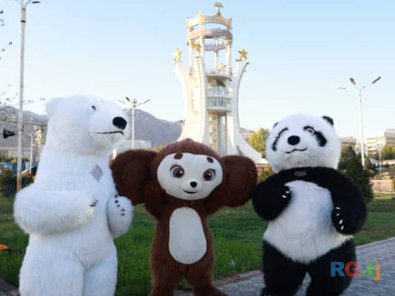 Прокат форм аниматора