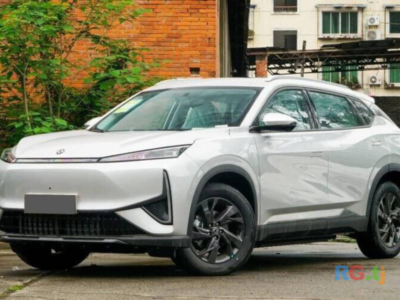 Личный водитель с современным Dongfeng электромобилем комфортные поездки.