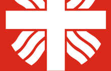 Проведение консультационной услуги по формированию нормативных профессионально-учебных основ профессионального развития социальных работников по защиты детей