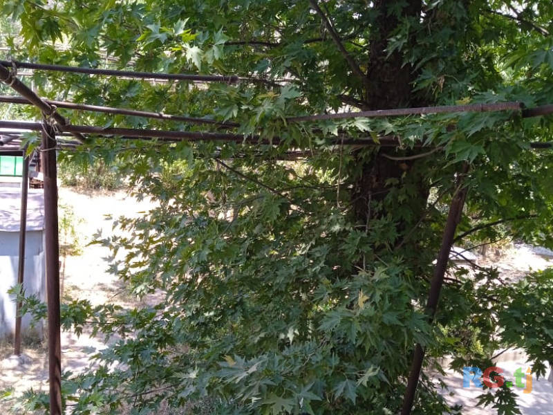 Продаю арматуры и трубы (союзные)