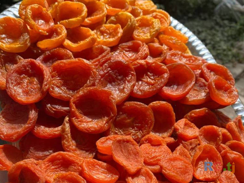 Курага и гулинг Кандак, более 300 кг, с собственного сада, от 20 кг